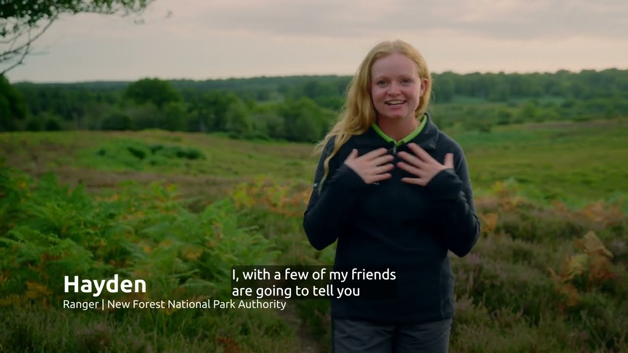 Welcome to the New Forest