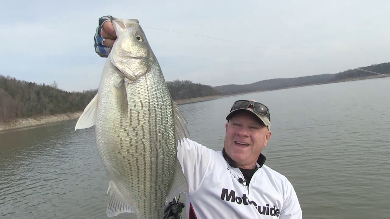 FOX Sports Outdoors SouthWEST #39 - 2018 End of Season Special