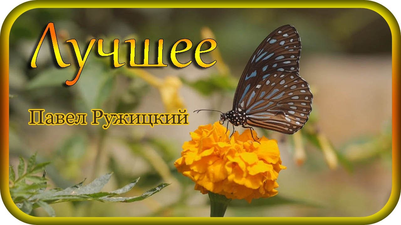 СБОРНИК  