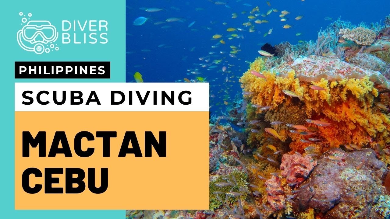 Scuba diving in Mactan Island and Olango Island with Ocean Player (April 2022)