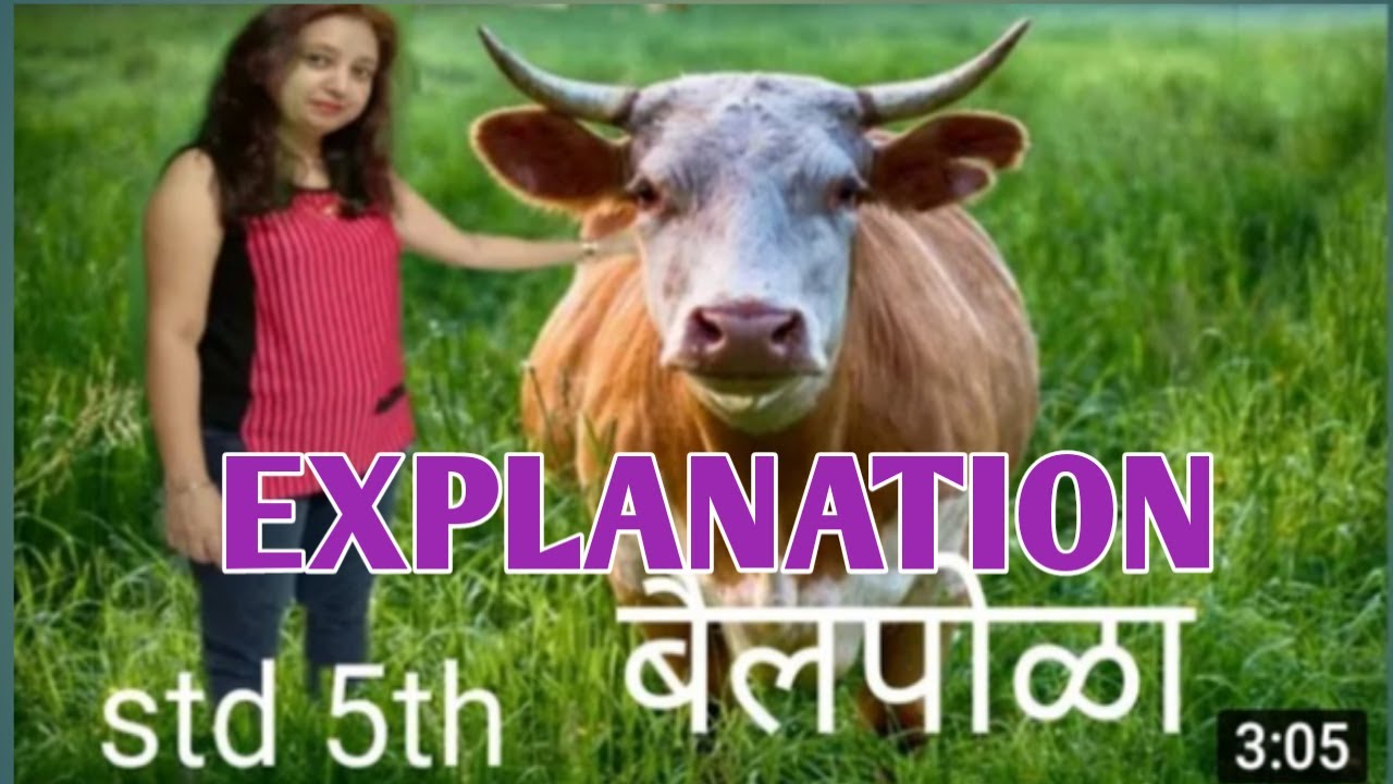 Std 5th. Poem- 'Bailpola' ( Explanation) - English medium.