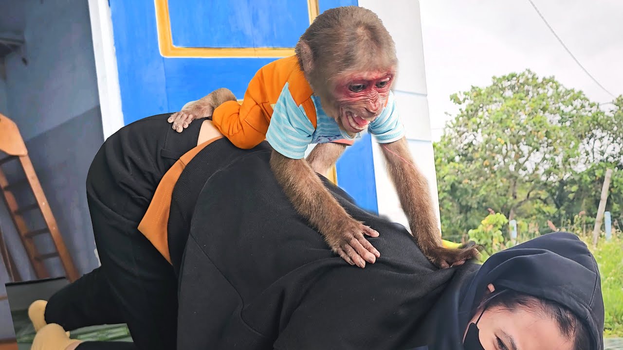 OMG! SU so smart and brave, becoming a little hero monkey 🐒👏