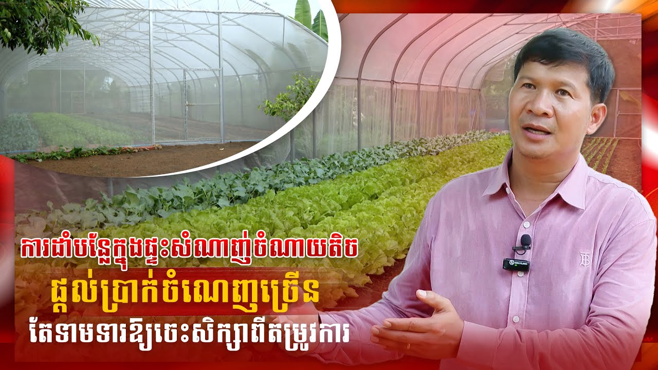 តើការដាំបន្លែក្នុងផ្ទះសំណាញ់ និងដាំនៅតាមទីវាលខុសគ្នាដូចម្តេច?
