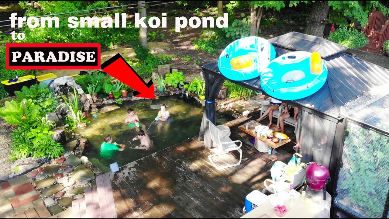 Amazing DIY Transformation: small koi pond turned recreation swim pond!
