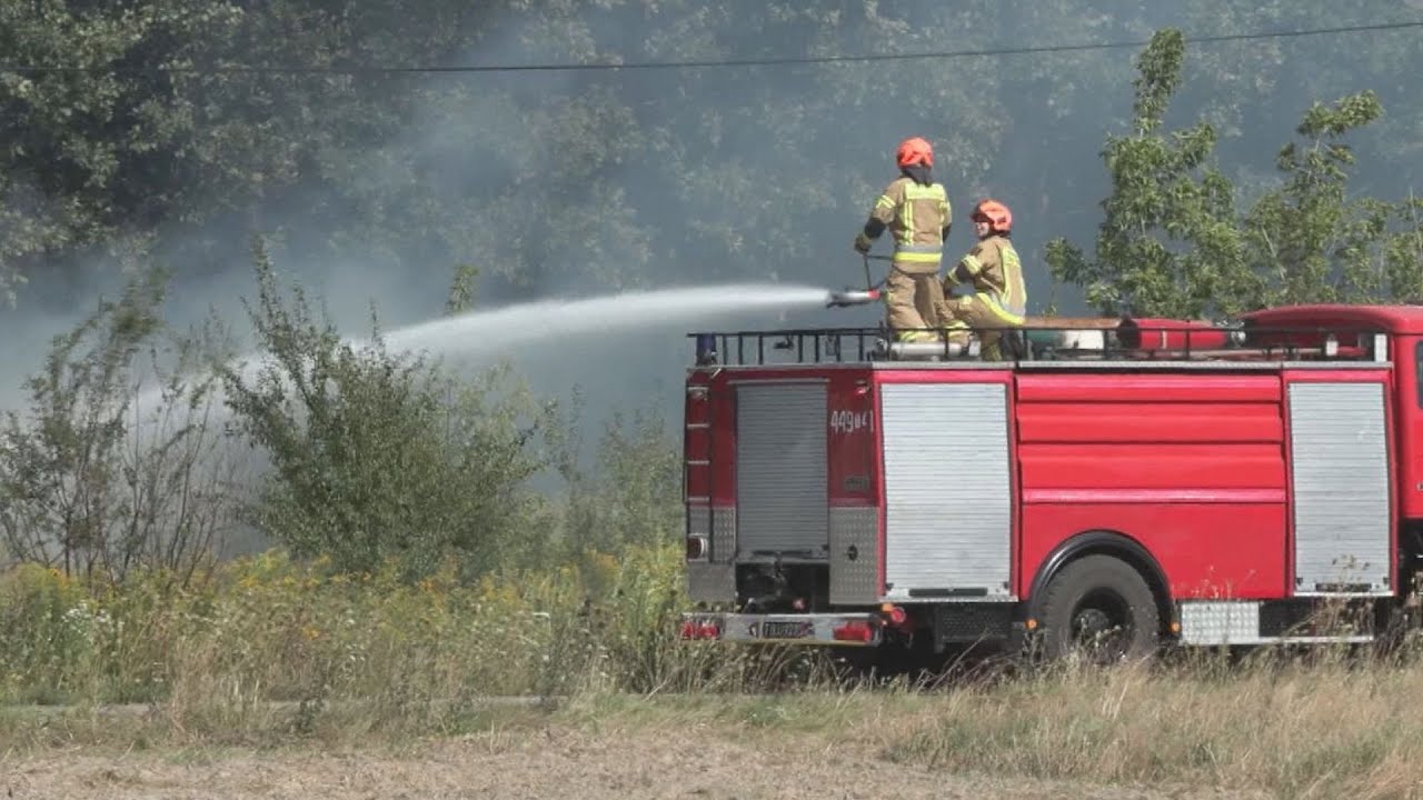 Pożary traw to już plaga. Płonie roślinność, giną zwierzęta | LOKALNA.TV