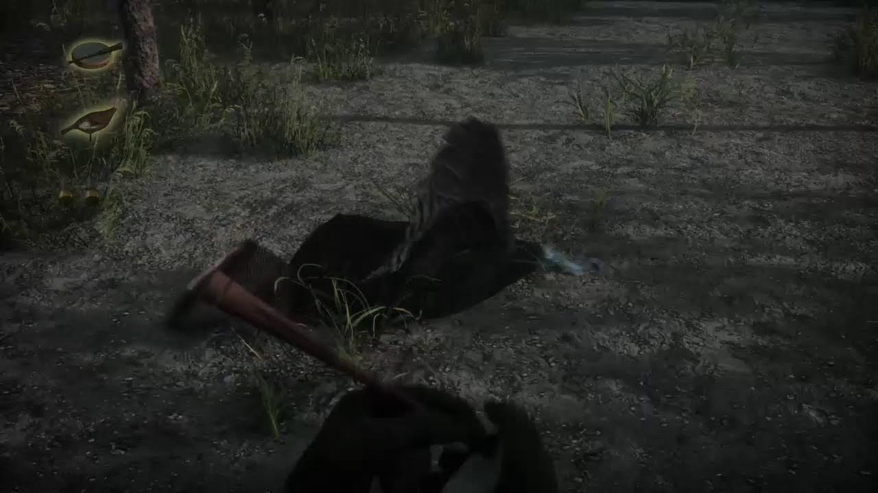 Pro Turkey Hunting