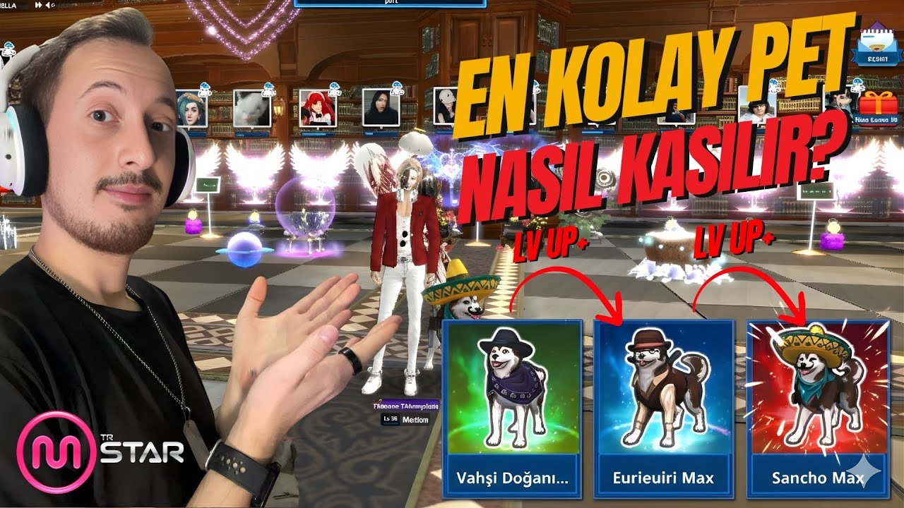MStar Pet Nasıl Alınır? Pet Nasıl Level Atlatılır? Pratik Rehber! #Mstar_GoldenMoments #Mstar_Legend