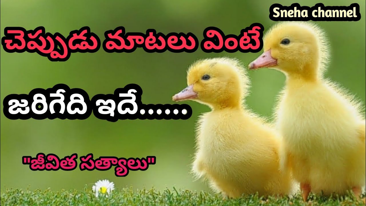 wonderful quotes#876#jivithasathyalu |Million dalar quotes |‌|Sneha channel