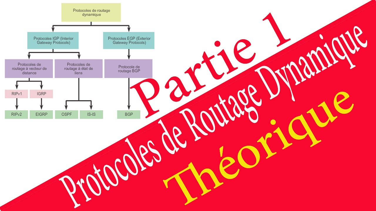 Les protocoles de routage dynamique -Théorique - Partie 1  En darija