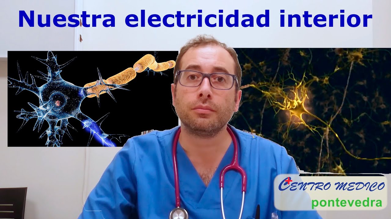 Nuestra electricidad interior, los fen&oacute;menos  el&eacute;ctricos de nuestras c&eacute;lulas