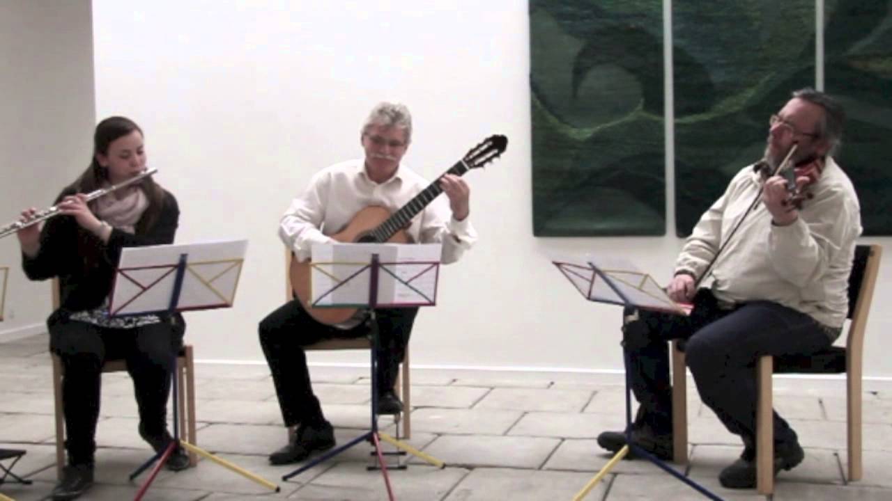 Triangulo - trio for flute, violin and guitar