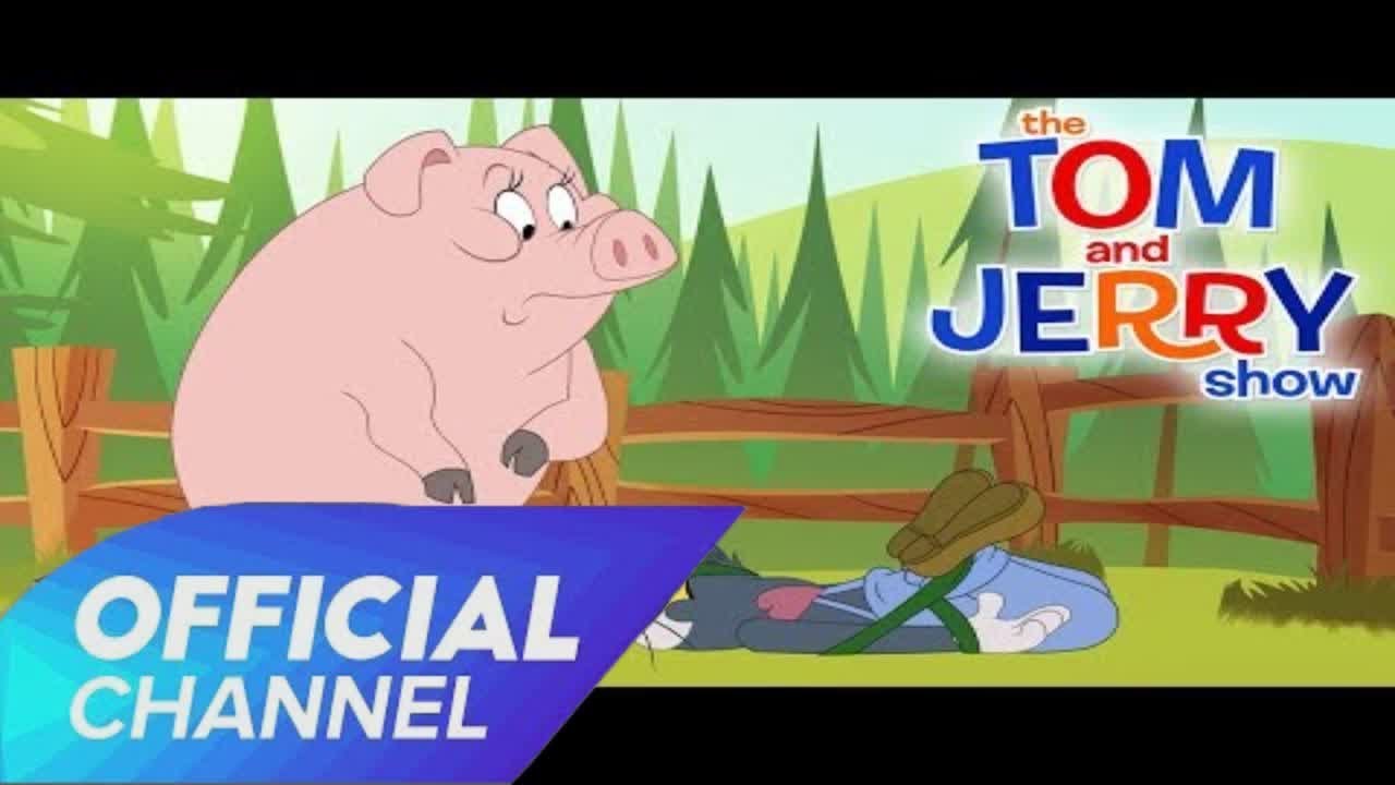 Tom & Jerry Cartoon 2019: The Tom and Jerry Show | Pig Ties Up Tom | Boomerang UK