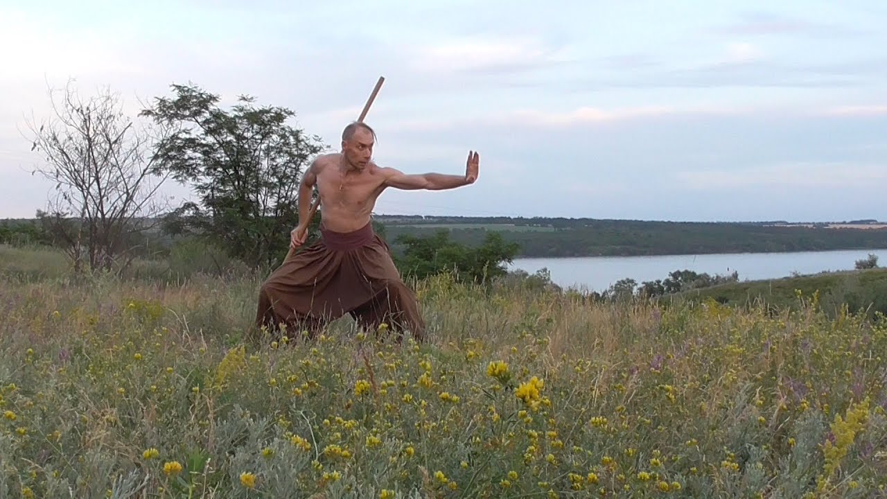 Long stick 1 (impacts and rotations).