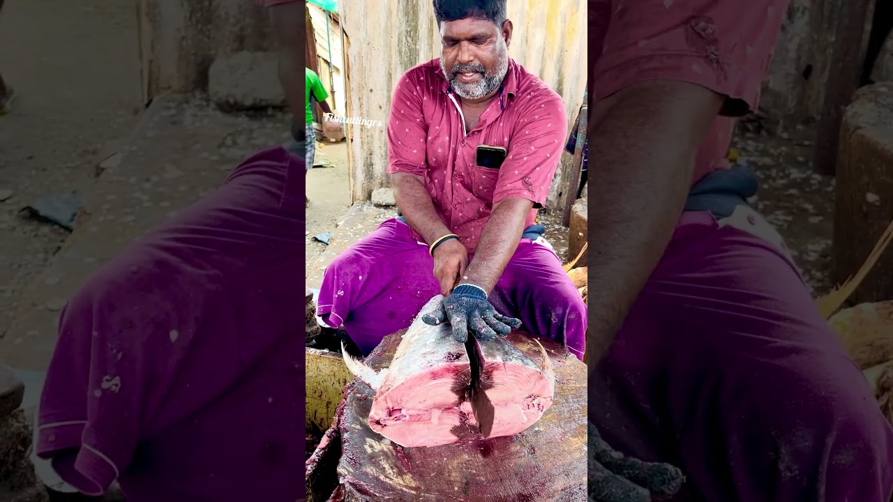 Fishcuttingrs #fish #kasimedu #fishcuttingrs