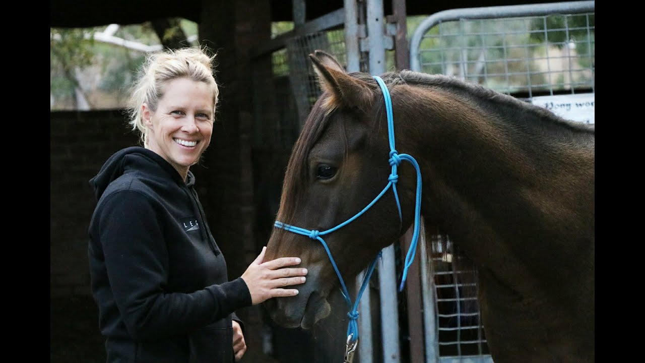 Brumby Mr Brown: Haltering Your Brumby