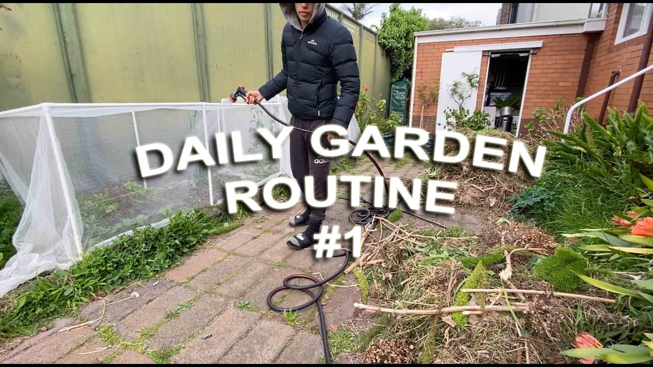 #1 Daily In the Garden - Composting, Potato, Carrots, Snowpeas, Kale, Herbs, Asparagus