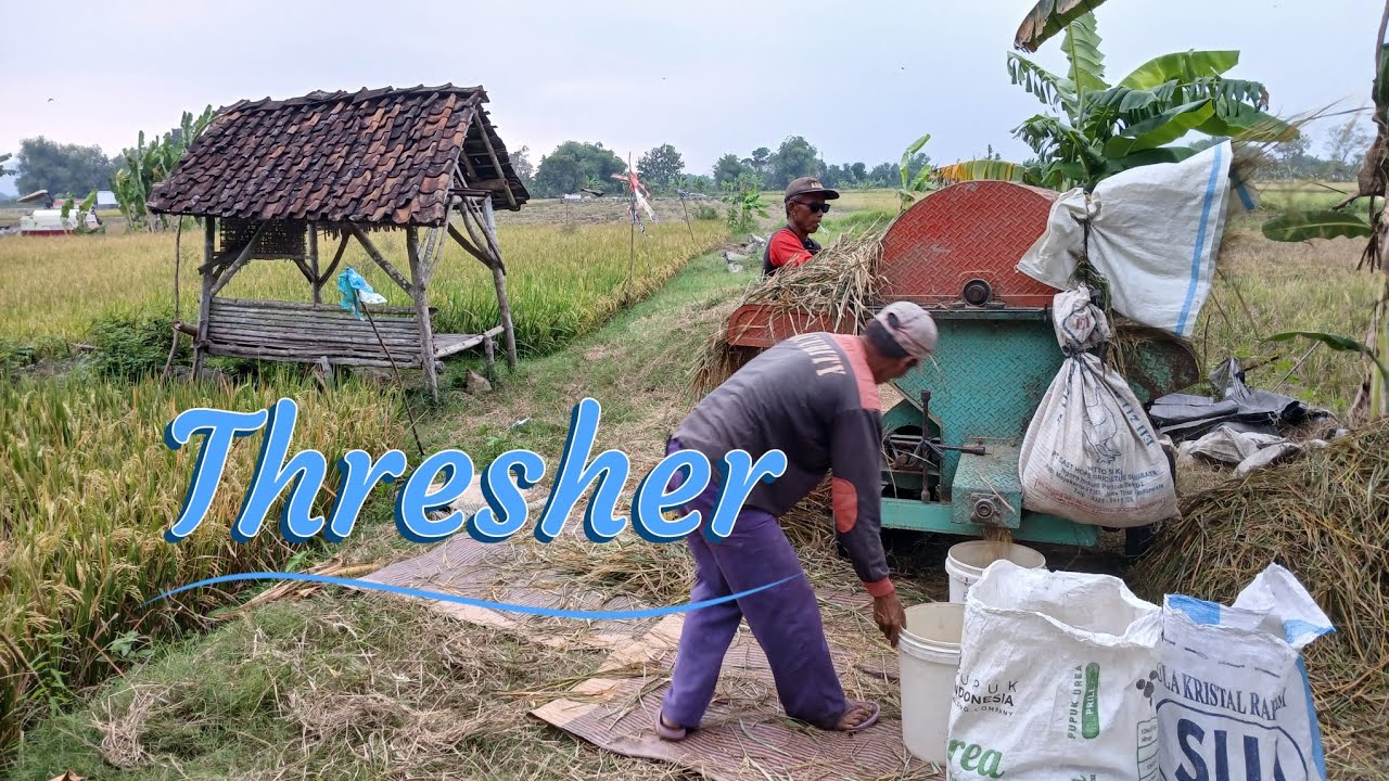 Thresher Padi #sukoharjo #thresher