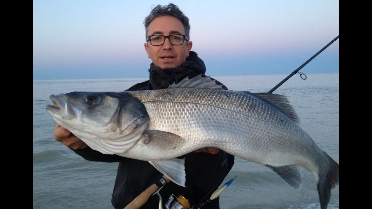 Spigole solitarie. Spinning Adriatico.