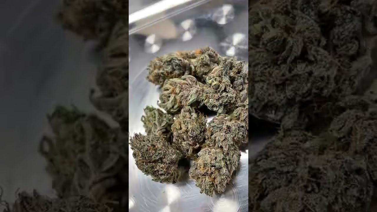 Premium Exotic Hemp Flower - Purple Octane 🔥 Rate 1-10! #shorts #hemp #wellness