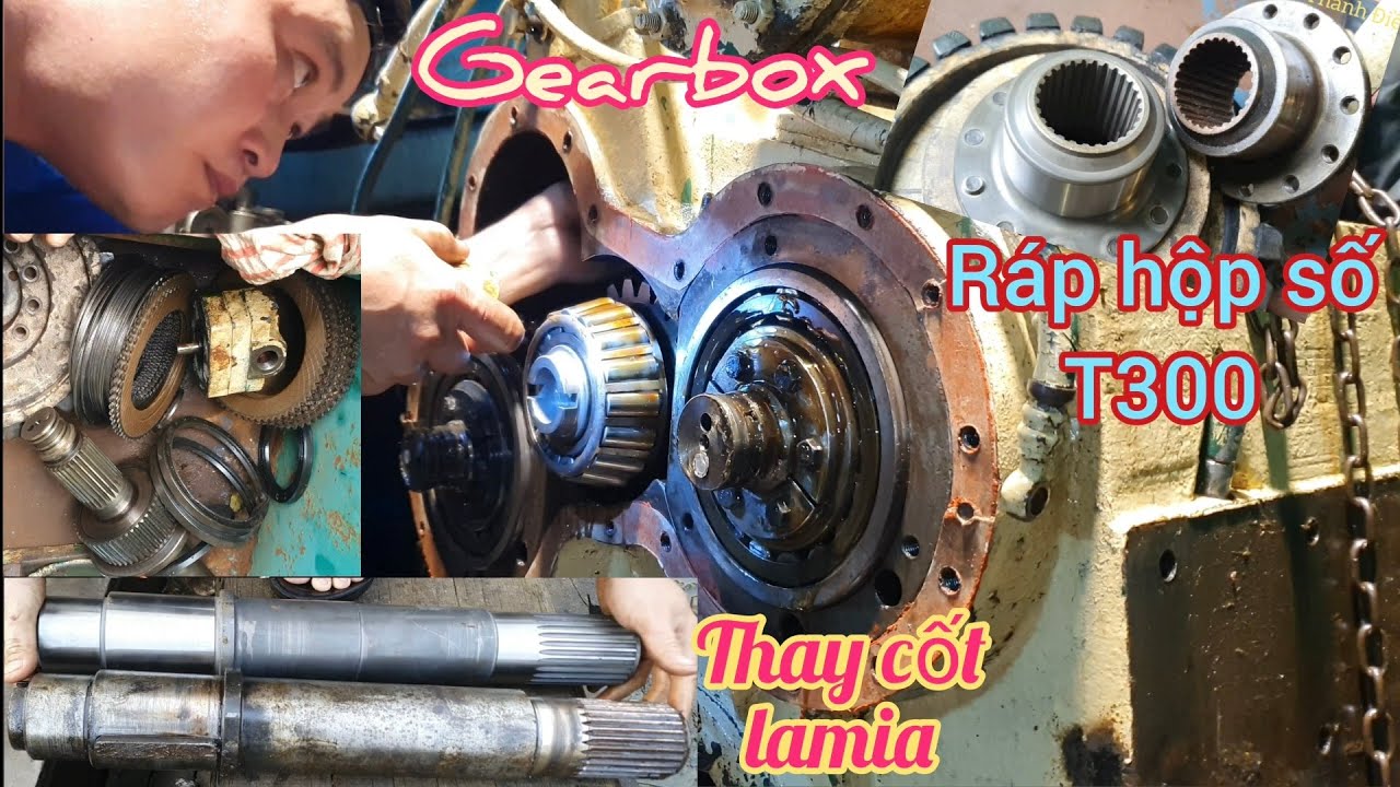 Thay cốt la mia phục hồi hộp số T300 của tàu kéo vỏ thép(tugboat gearbox repair)