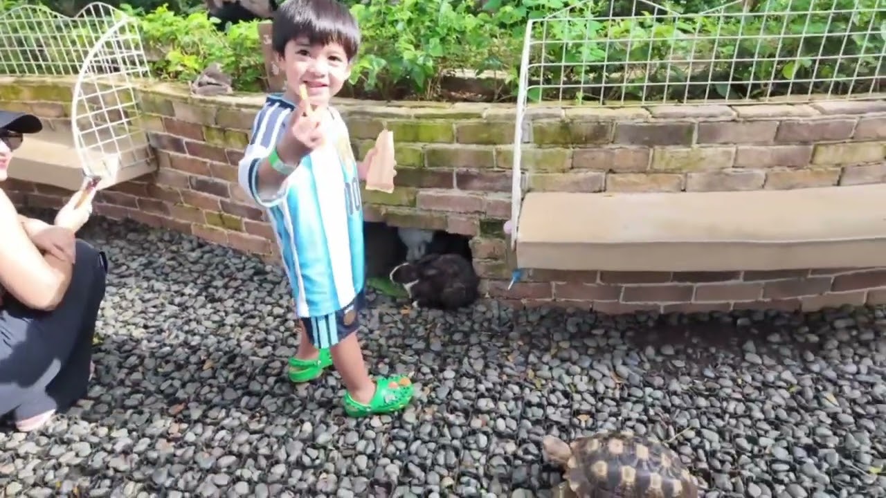 Exploring Scientia Park! Dari ketemu animals sampai main air seru #scientiapark 