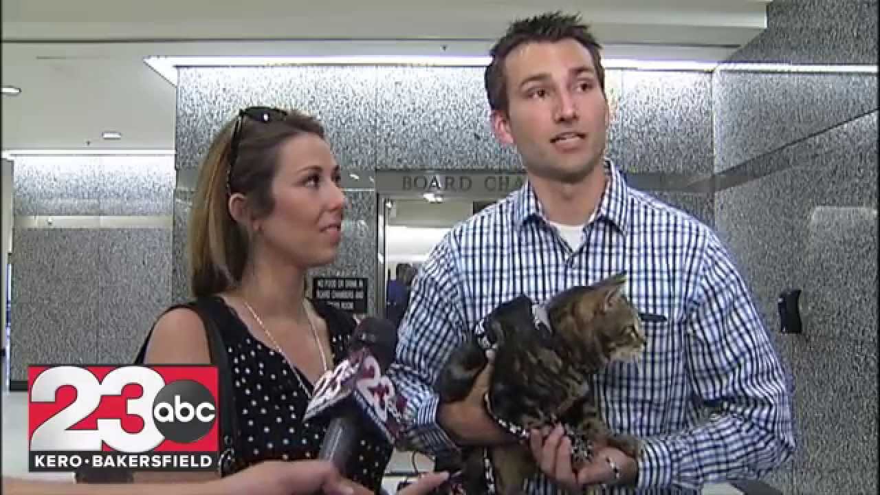 Triantafilo family talks about Tara the Hero Cat Day