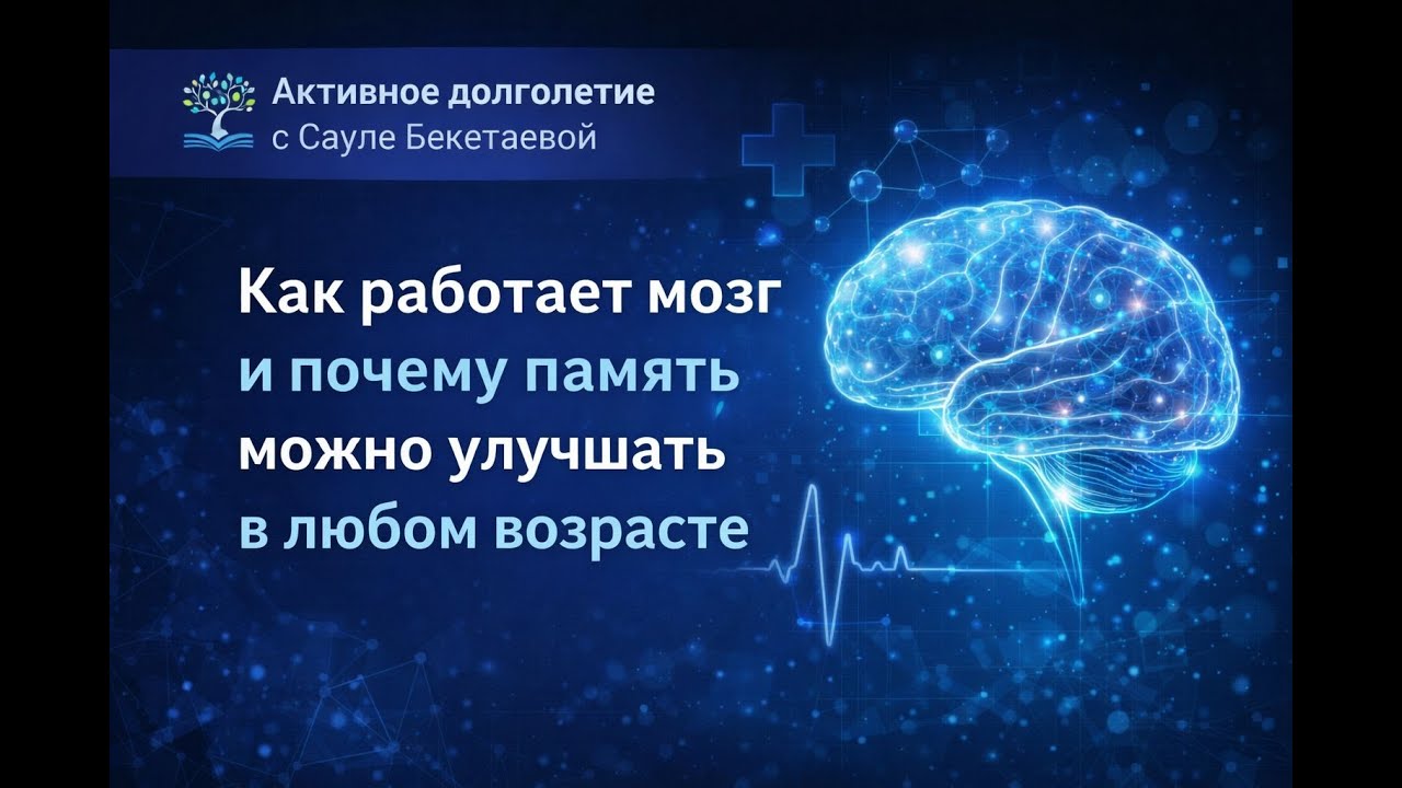 Как работает мозг и память