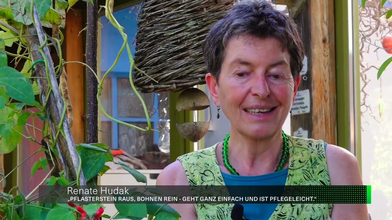 Die Gartenfreunde &ndash; Pflasterbohnen ernten