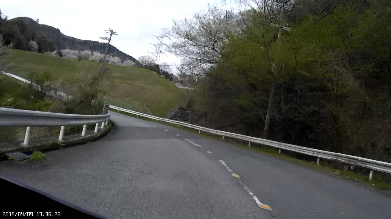 一庫〜光風台の桜