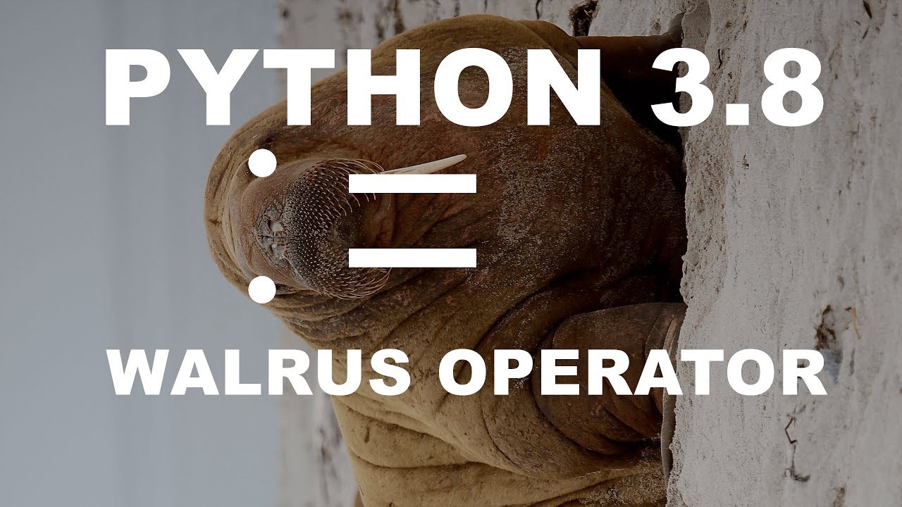 What is Python's 3.8 Walrus Operator and How Does It Work?