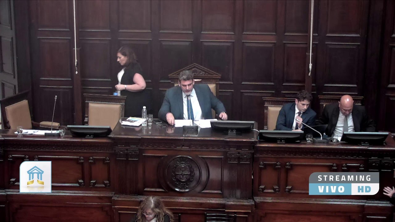 Honorable C&aacute;mara de Senadores: sesi&oacute;n de tablas 09/12/2025