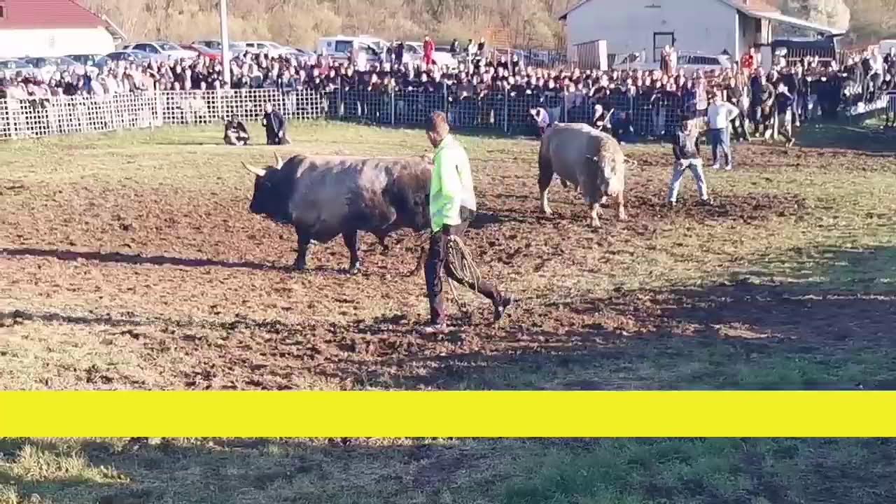 Uživo treći krug Sanica