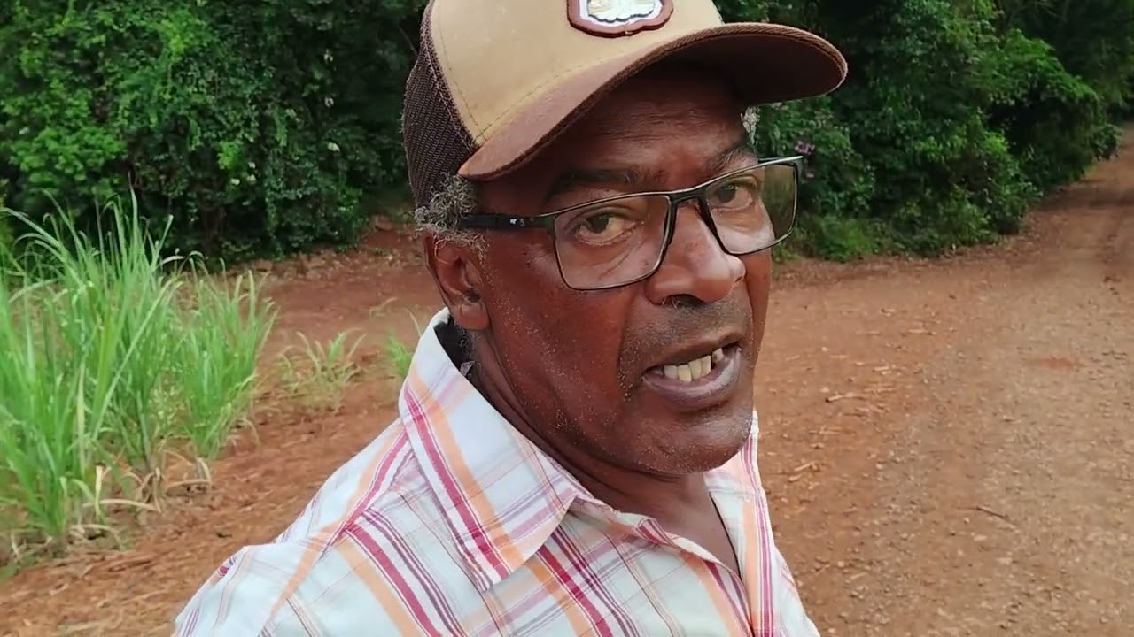 Velho cansado e Zé Carlos no Matão da palmital 