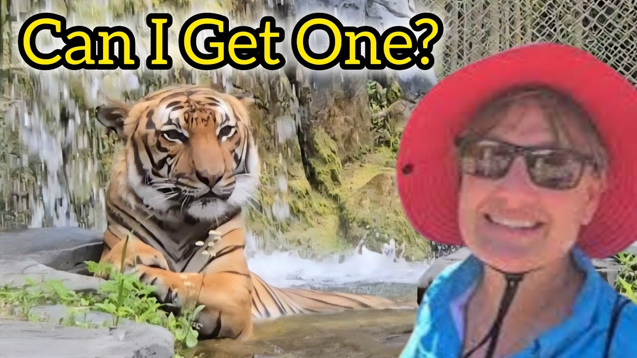 Monkeying Around At Jacksonville Zoo 