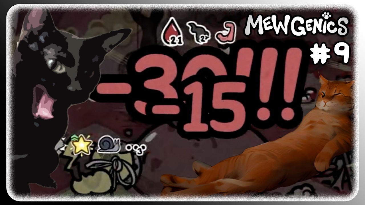 😎Rey palpitante a la 1ª😎 Llegar al búnker🙅🏼‍♂️| Mewgenics