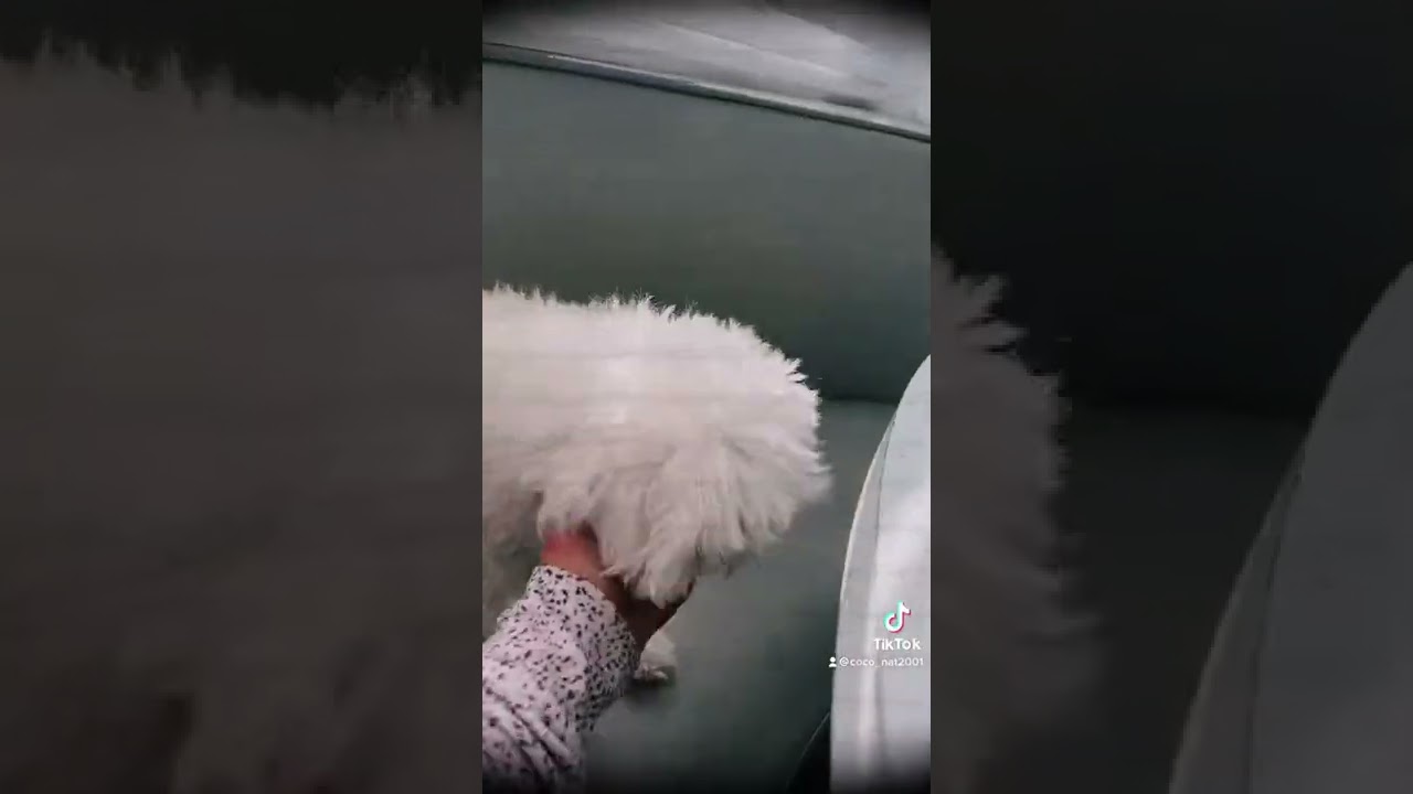 Skingym 3 color LED FACIAL MASK