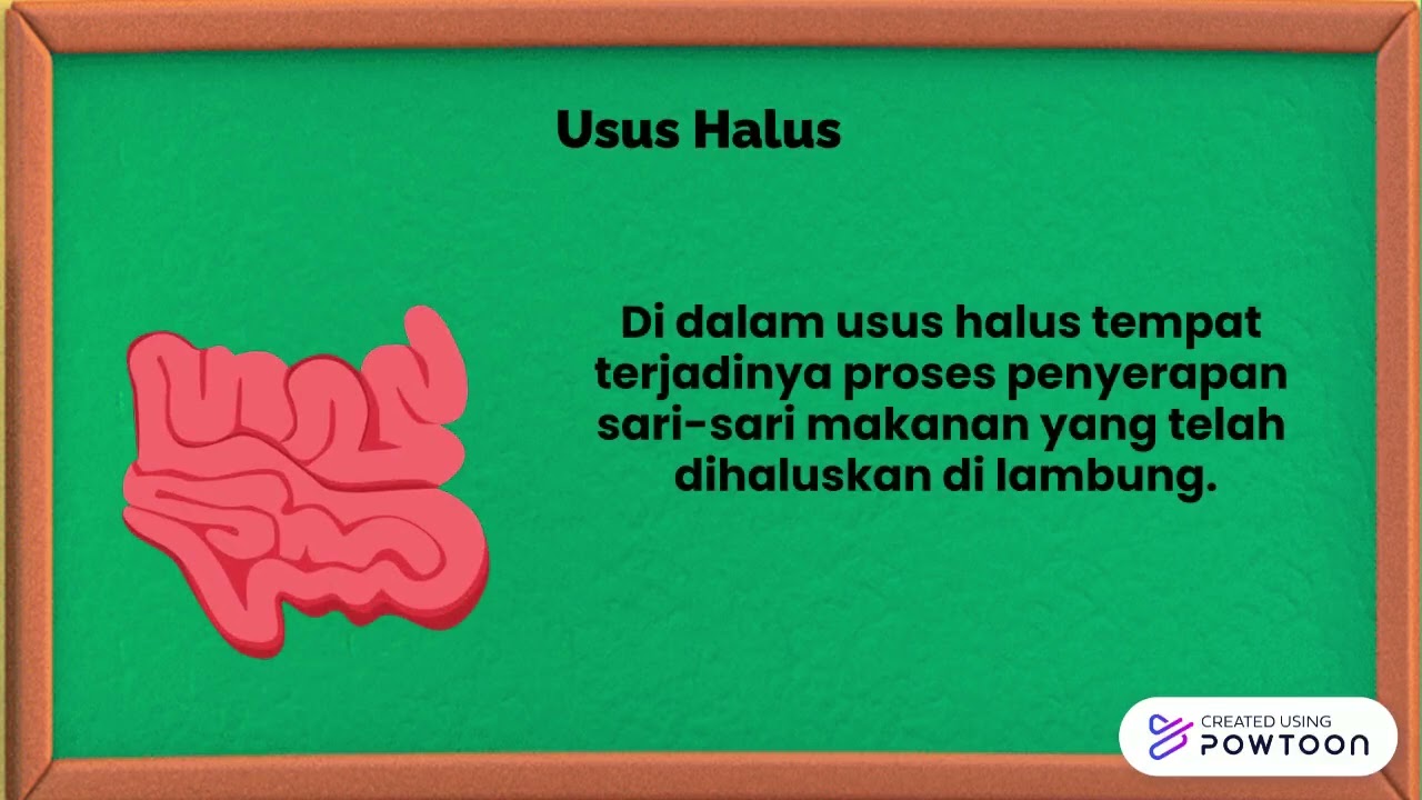 3 (Sistem Pencernan )