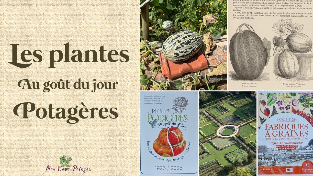 Légumes centenaires : Mythe ou réalité ?