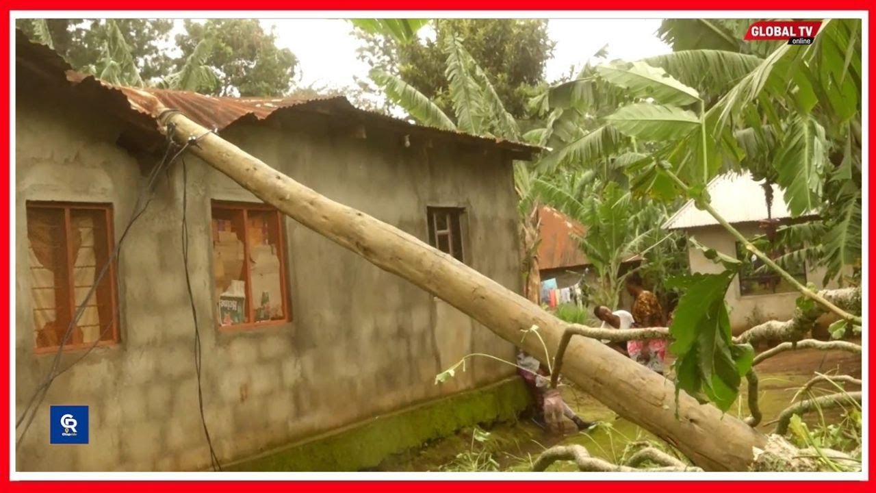 MVUA YA MAWE YALETA MADHARA HAI KILIMANJARO - KAYA SABA ZAANGUKIWA NA MITI MIKUBWA -DC AZUNGUMZA...