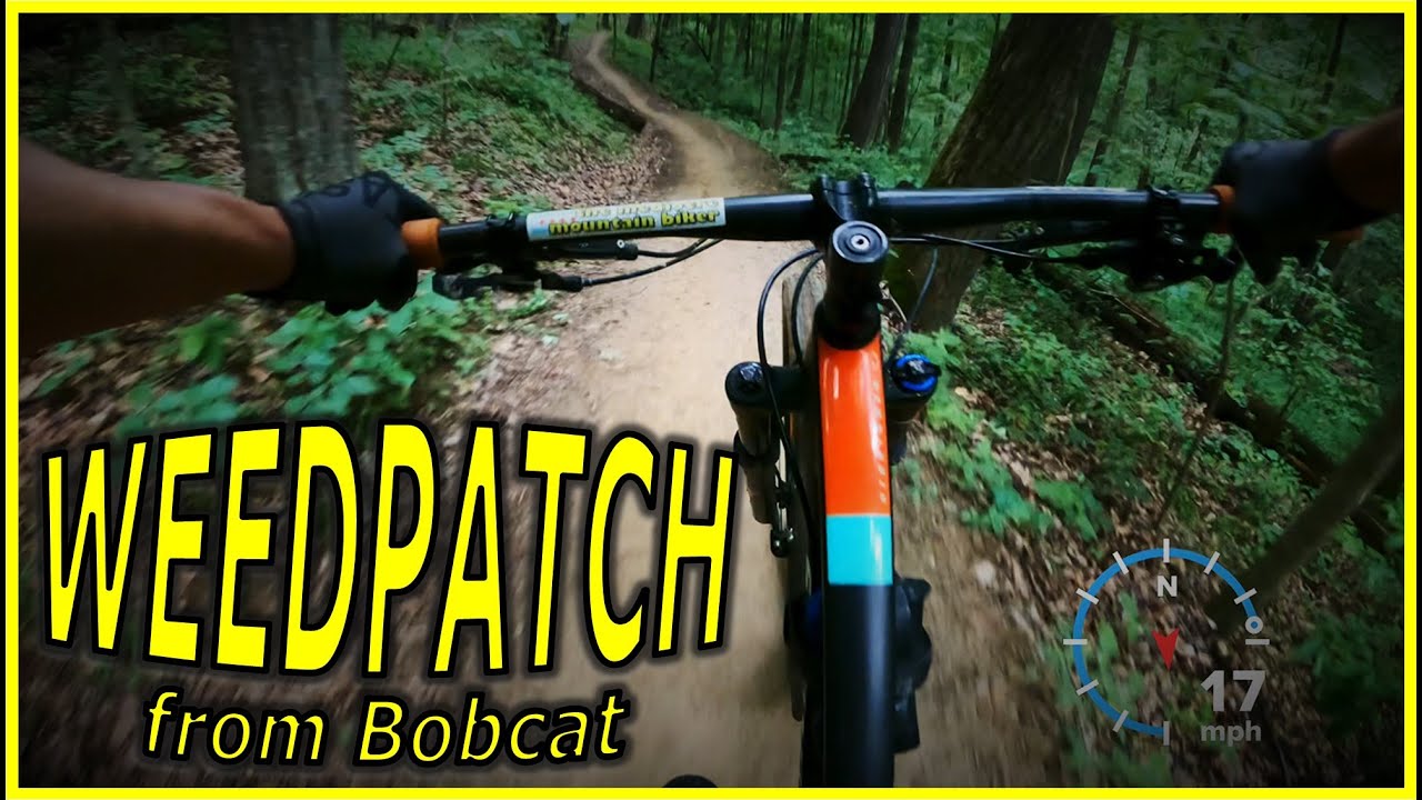 Weedpatch [from Bobcat] RAW