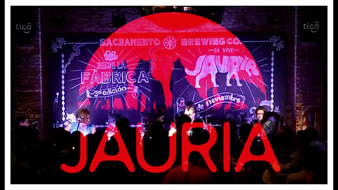 Jauria en Paraguay - Desde la fábrica 🇵🇾