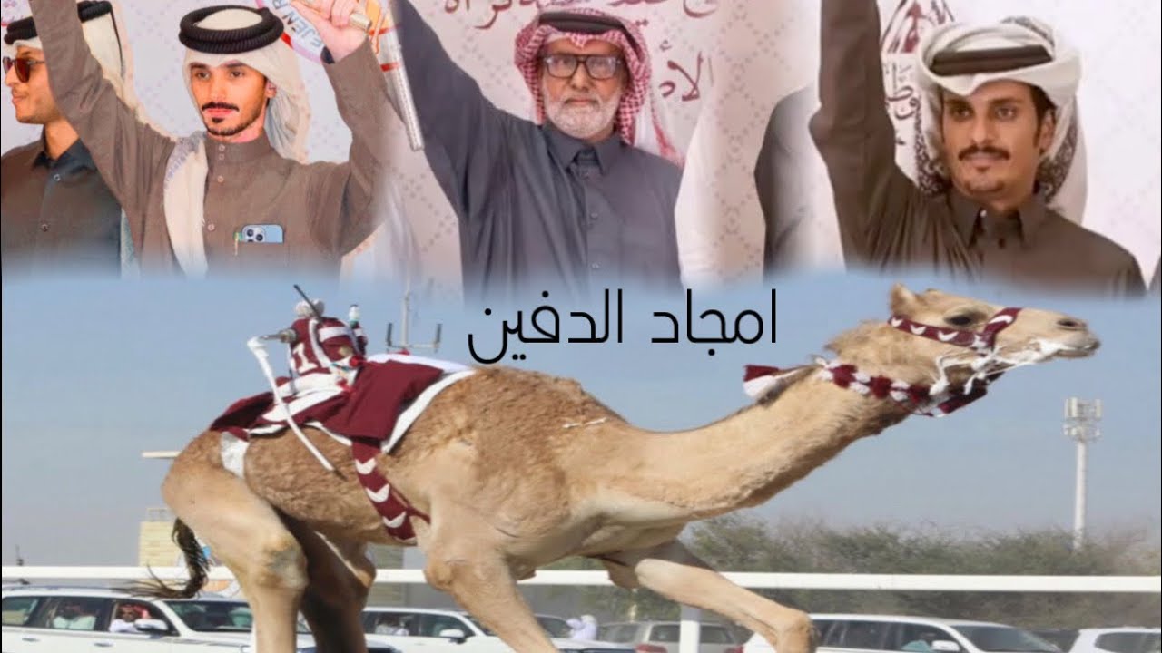 شيلة امجاد الدفين  |كلمات محمد بن مشيط | اداء مسفر السندوانه|حصريا