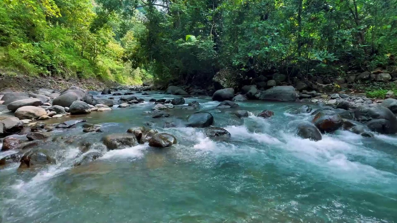 Relaxing River Sounds for Focus, Studying & A Peaceful Home 🌿 Relaxing Sleep Calming Anxiety