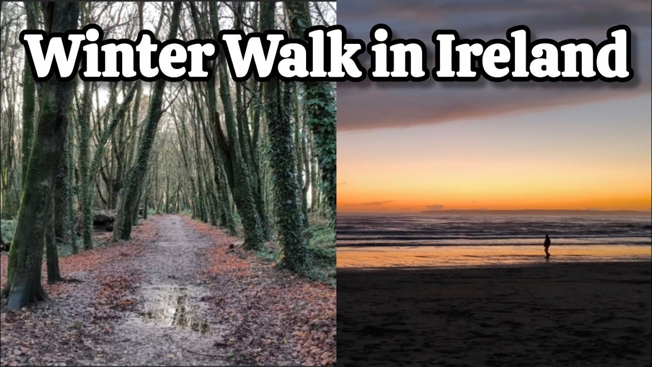 Winter Walk in Ireland | Forest Rostellan & Inch Beach on the Atlantic Ocean 🌲🌄