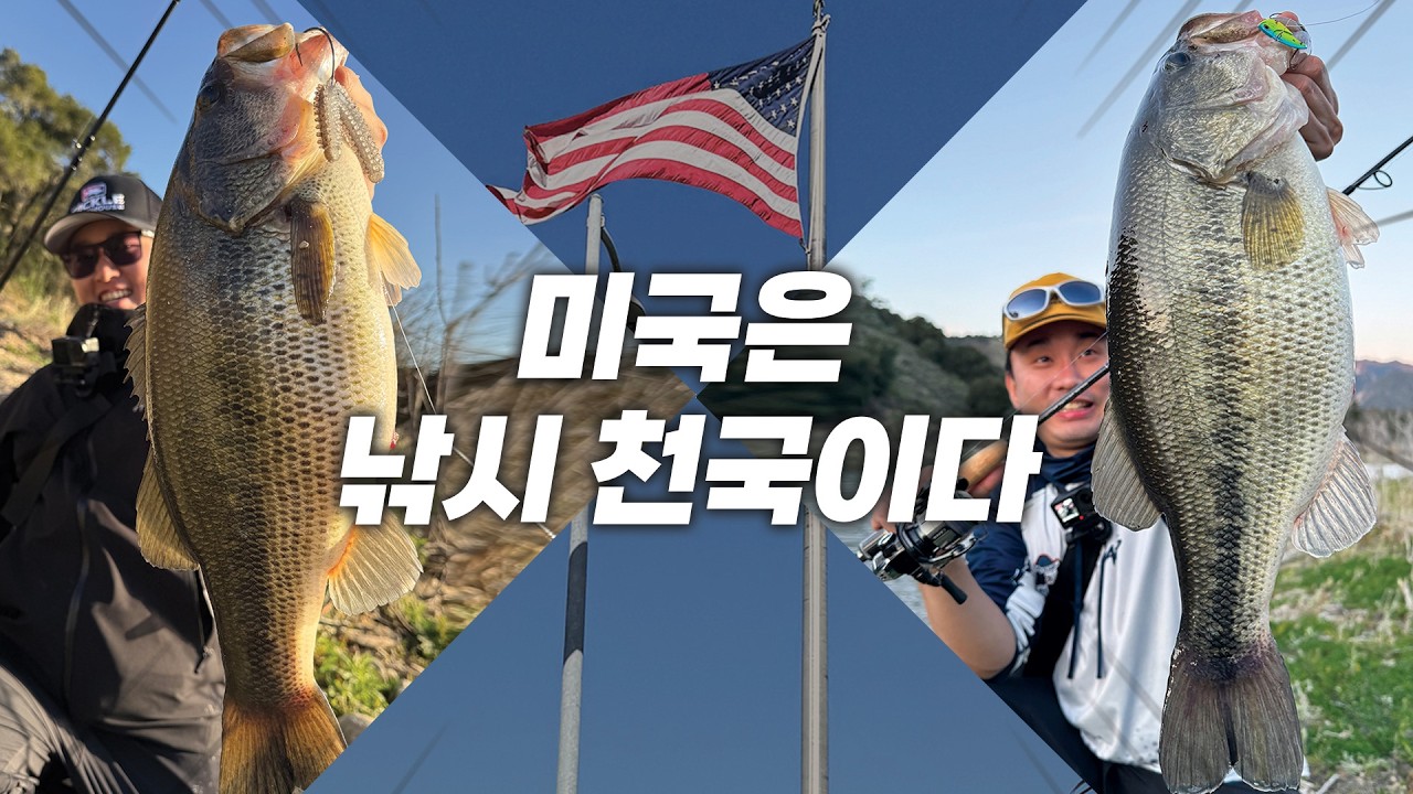 미국의 대형 리테일러와 미팅을 하고 왔습니다! 그리고 그곳의 배스들은...