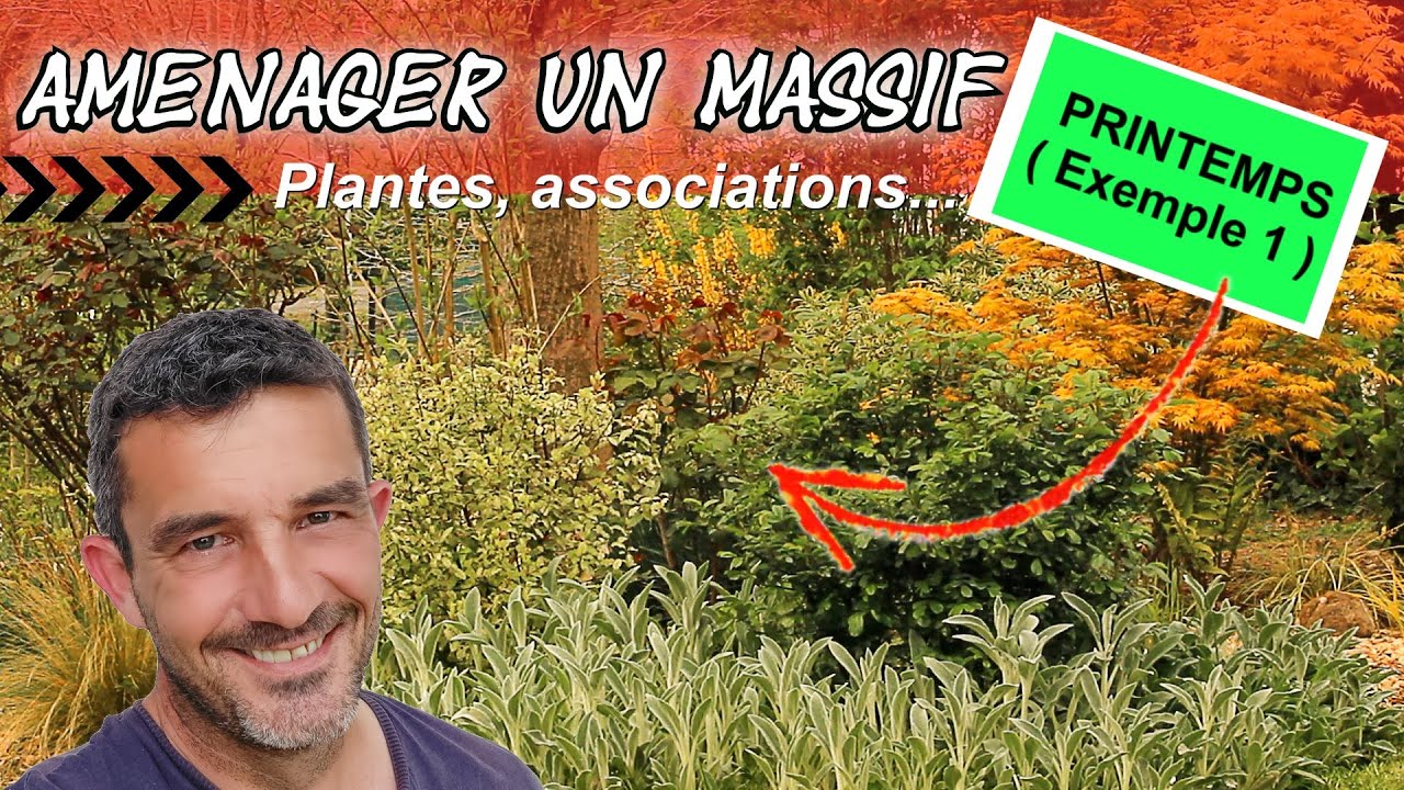 Aménager un massif de vivaces, arbustes et graminées - [Printemps - Exemple 1]