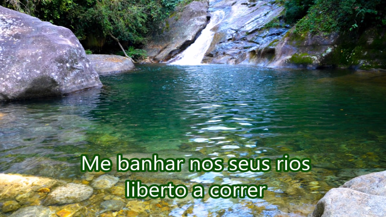Ponto de Oxóssi Senhor Das Matas