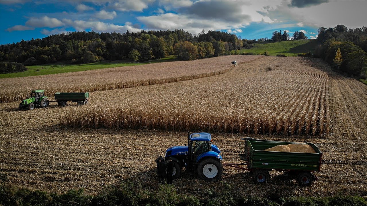 Koszenie kukurydzy i siew pszenicy 2023 w RSP Ogrodzona✔2x New Holland t7.210✔Claas Tucano 320✔