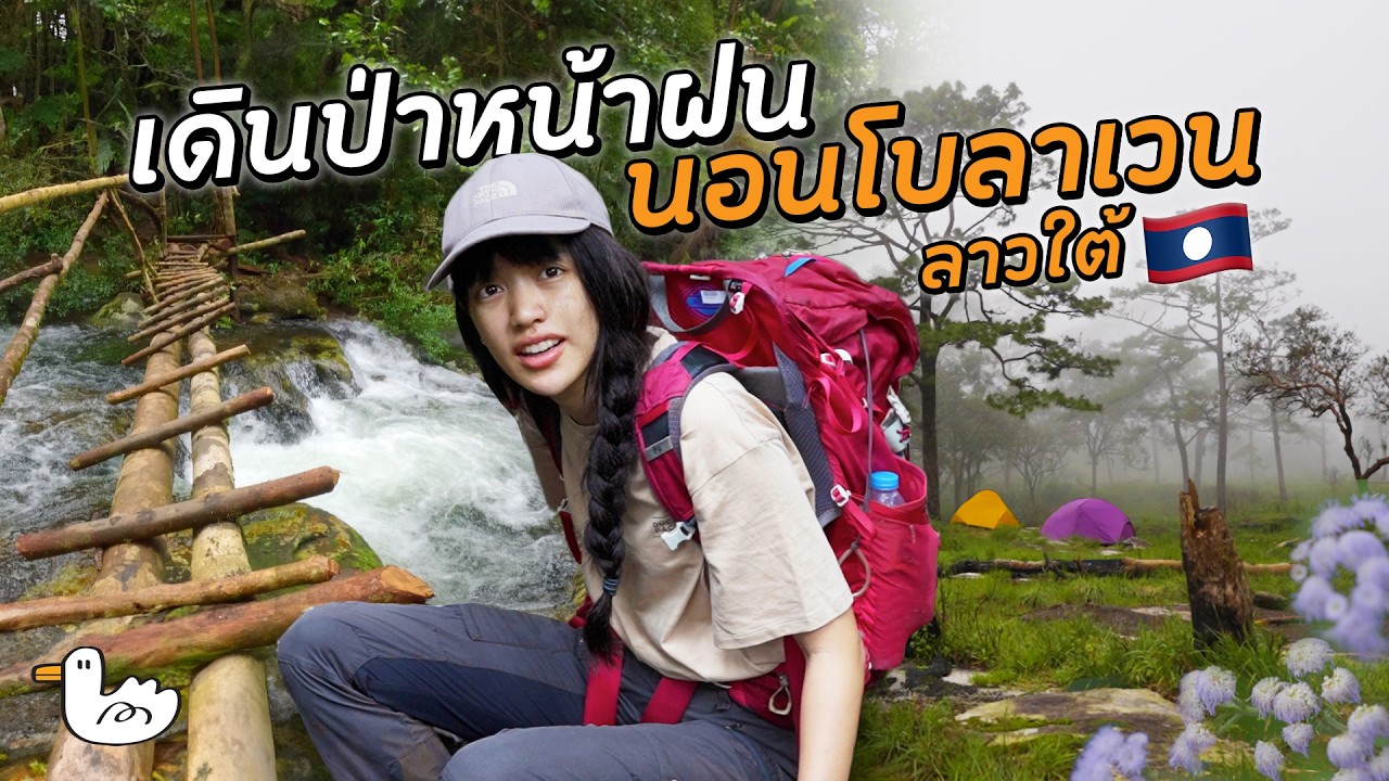 เดินป่าหน้าฝน  กางเต็นท์นอนโบลาเวน ลาวใต้ 2 วัน 1 คืน | ฉบับเที่ยวเอง