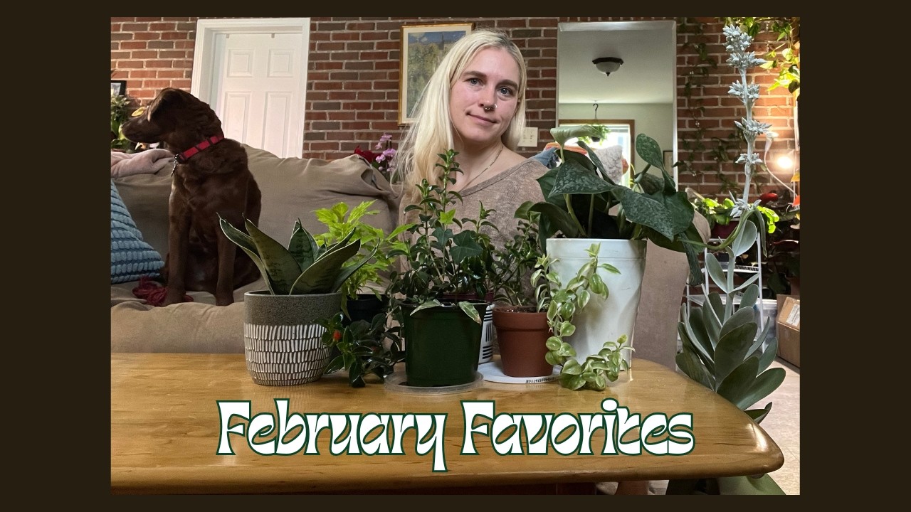February faves | Growth and signs of spring coming